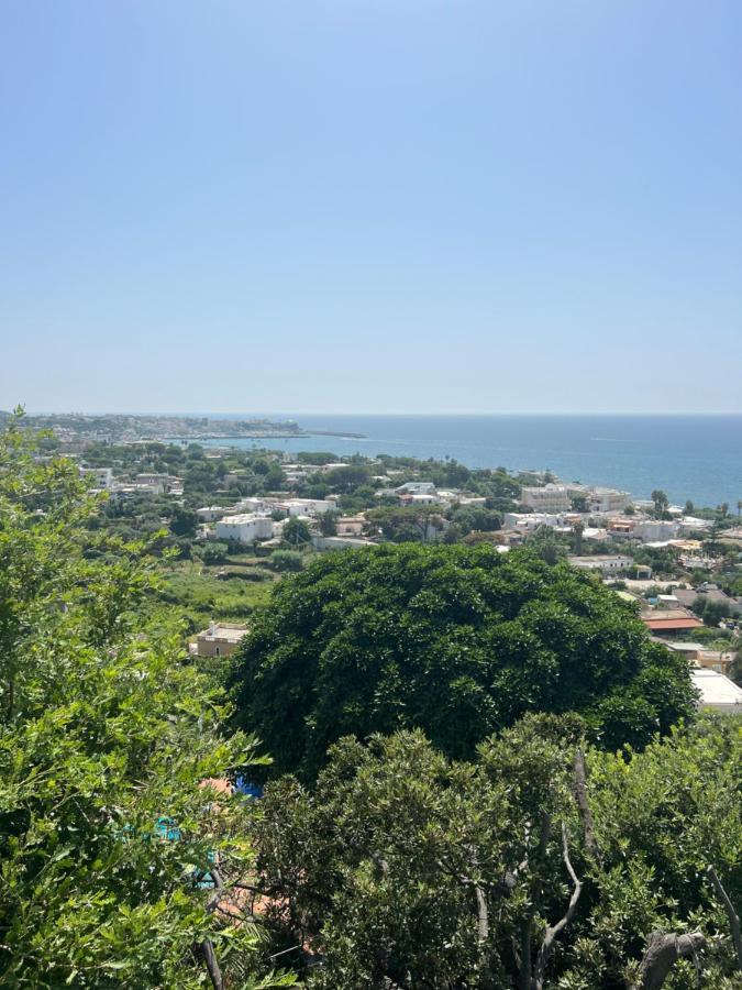 مبيت وإفطار Forio di Ischia Blu Panorama المظهر الخارجي الصورة
